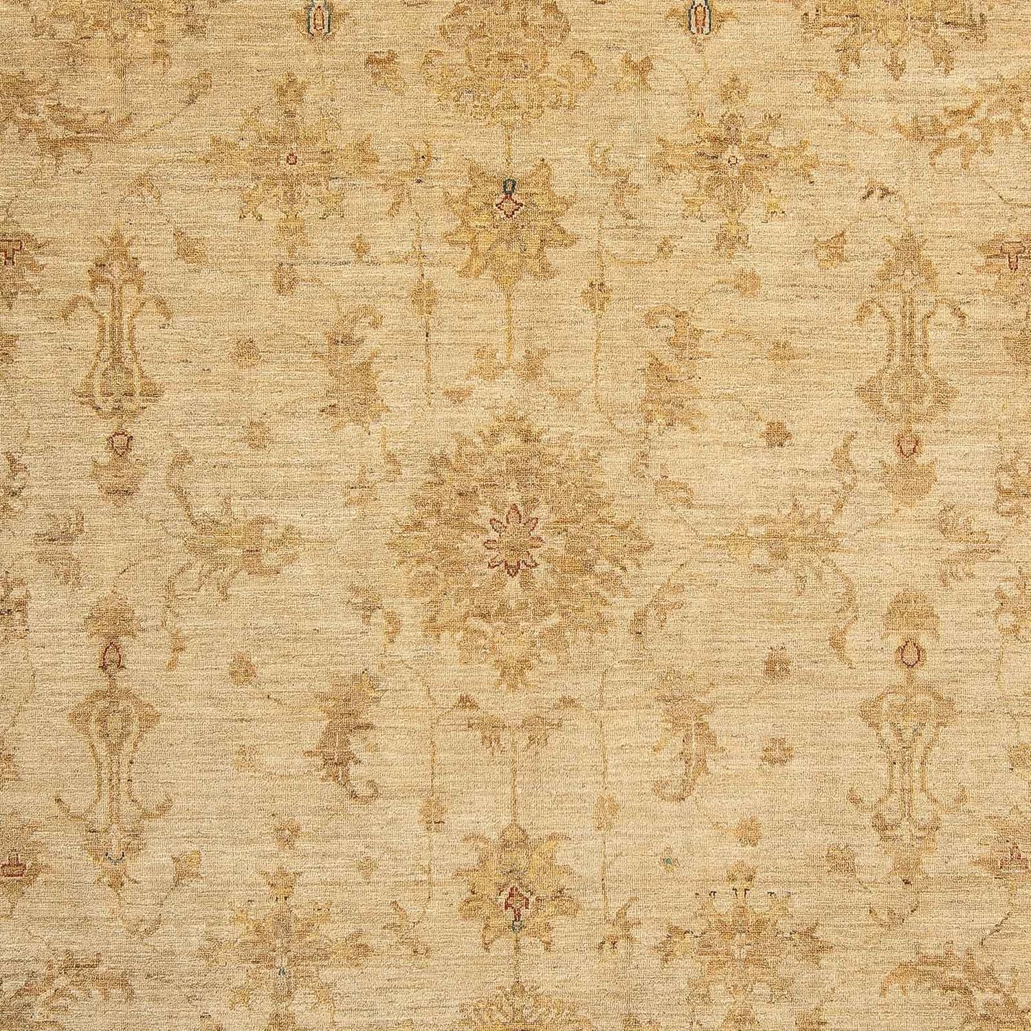 Ziegler Teppich 307 x 250 cm