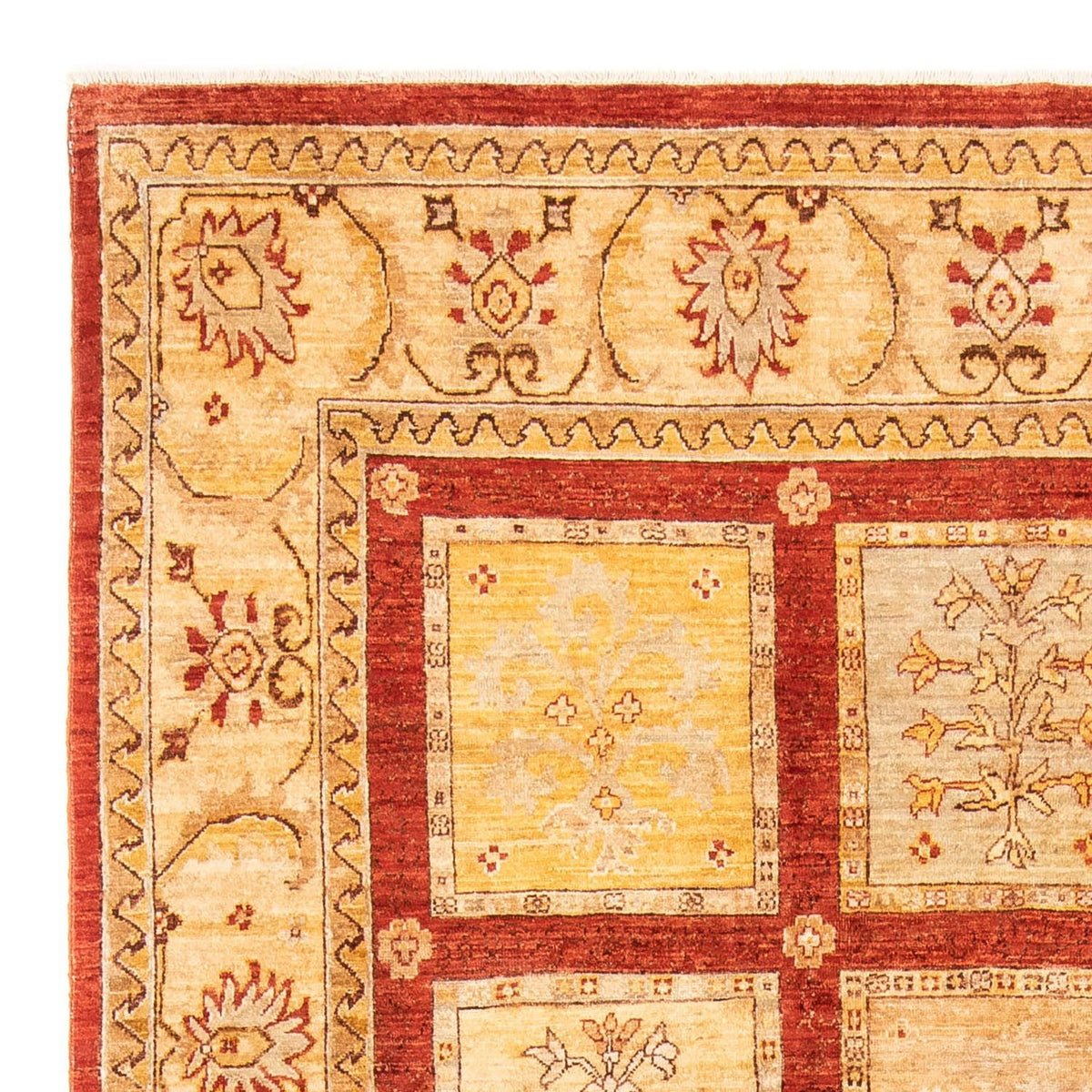 Ziegler Teppich 272 x 198 cm