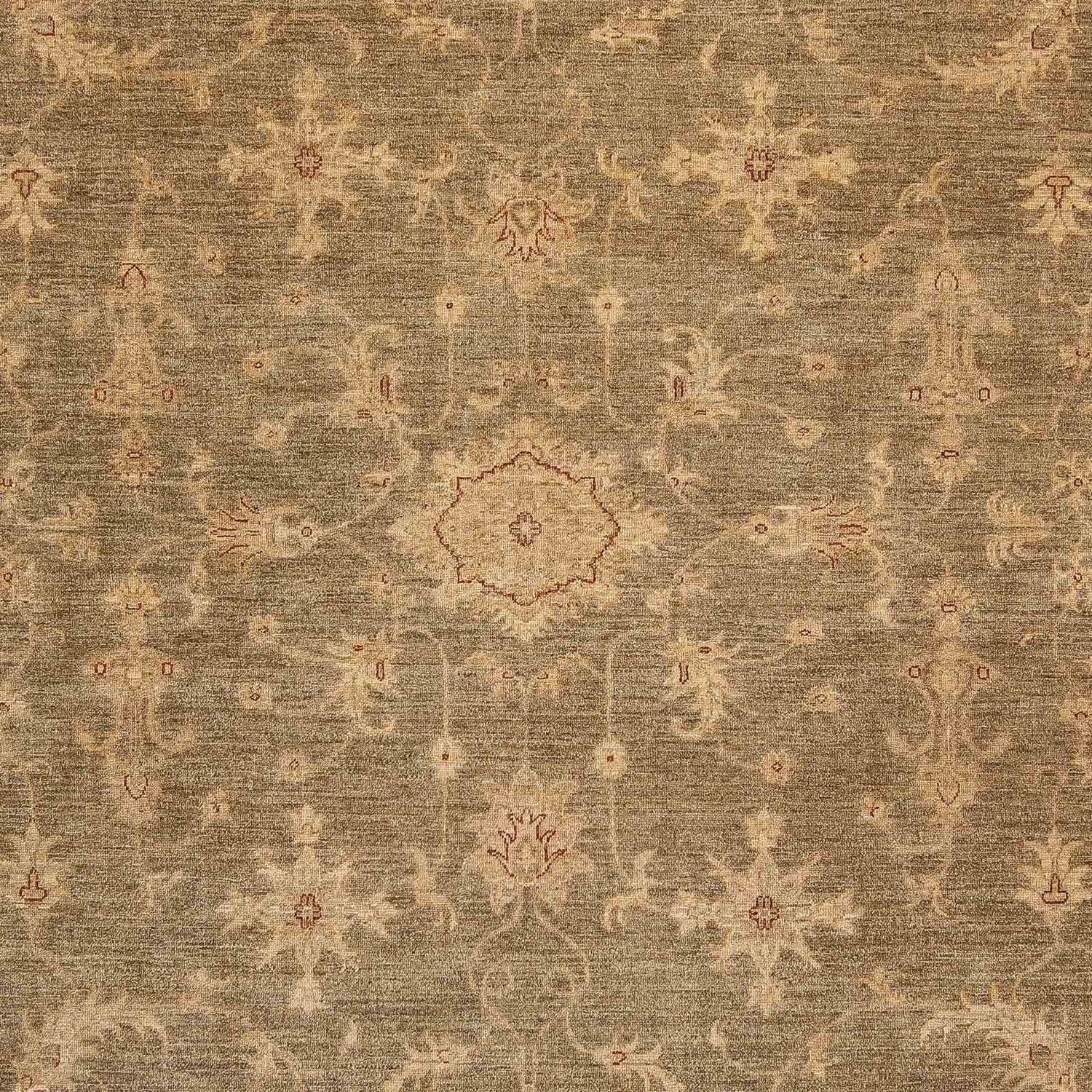 Ziegler Teppich 353 x 248 cm