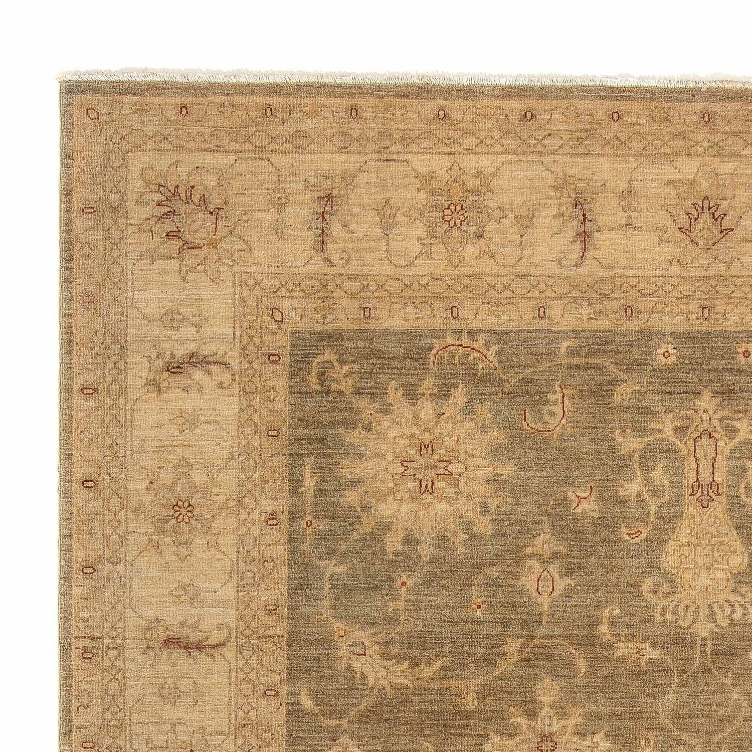 Ziegler Teppich 353 x 248 cm