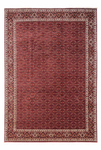 Perserteppich - Bidjar - Royal 345 x 253 cm - rot