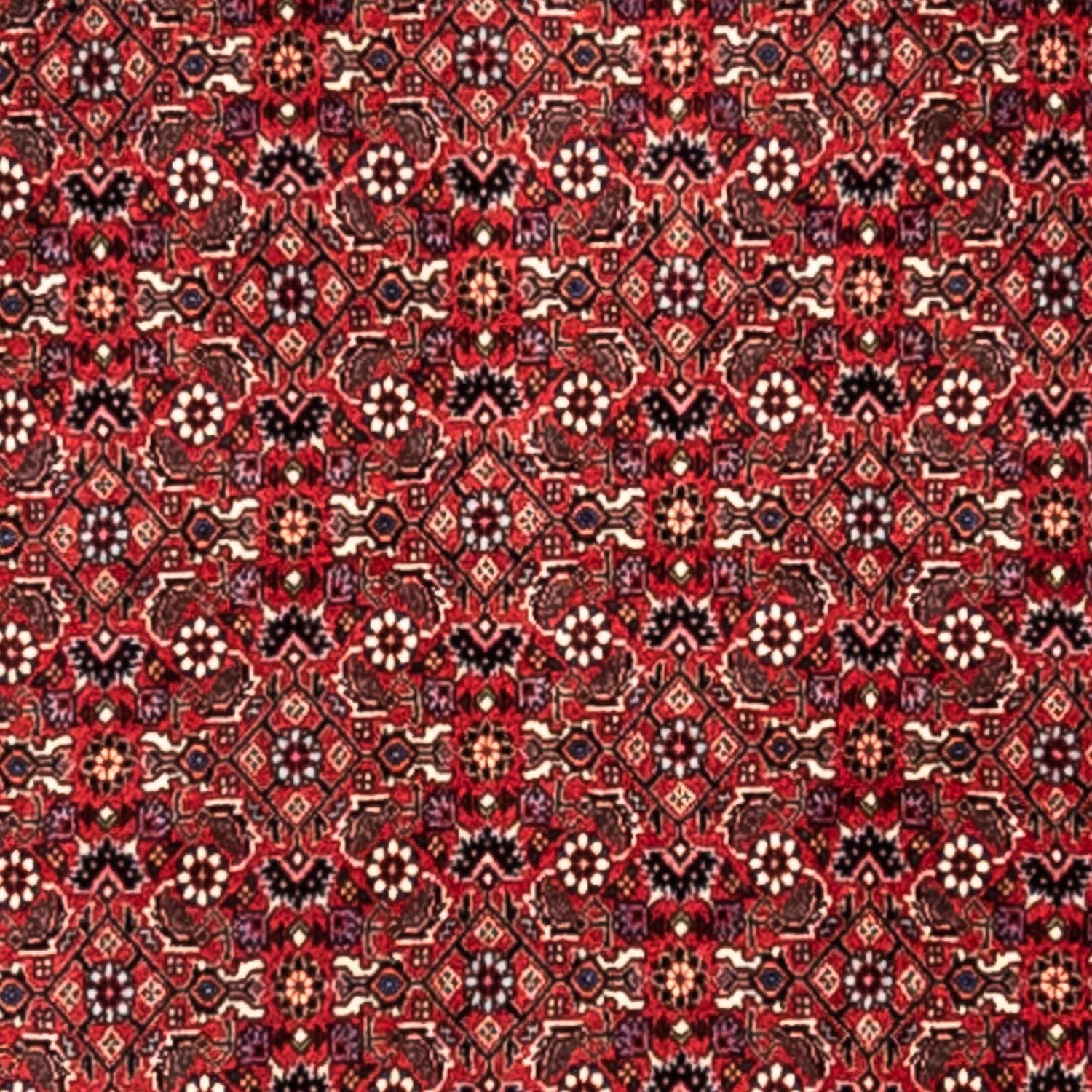 Perserteppich - Bidjar - Royal 345 x 253 cm - rot