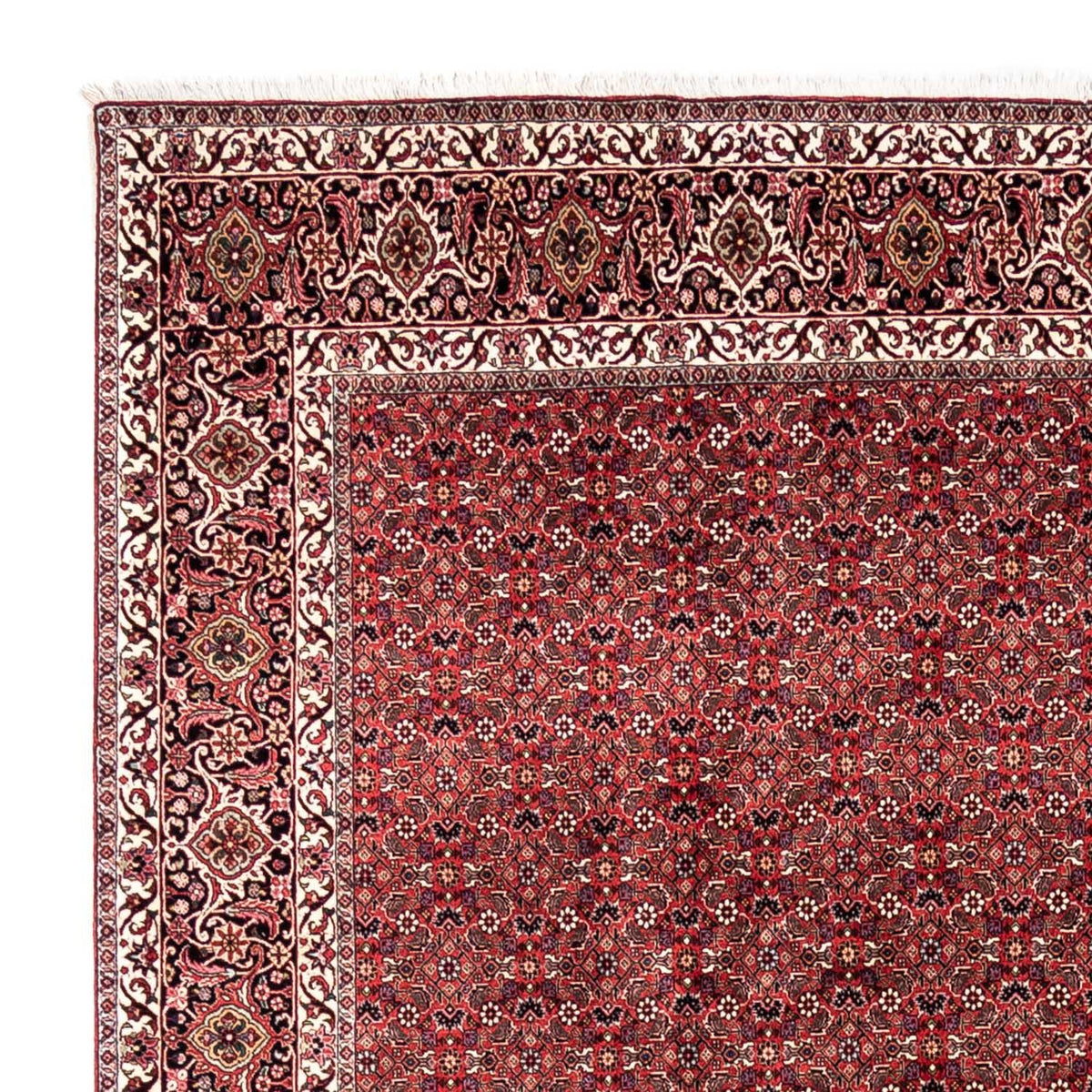 Perserteppich - Bidjar - Royal 345 x 253 cm - rot