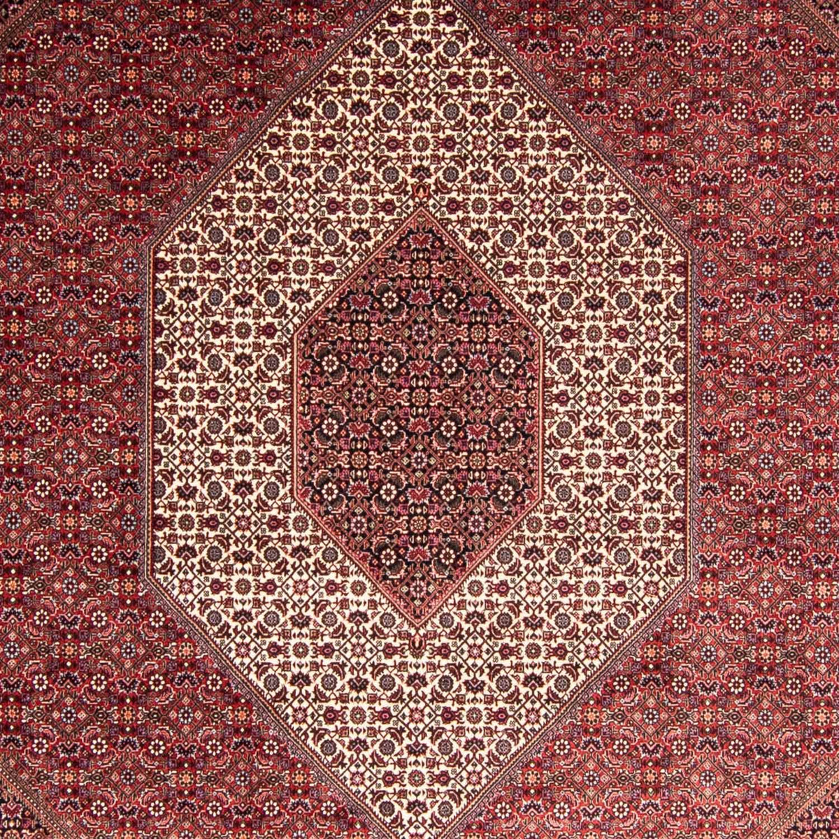 Perserteppich - Bidjar 344 x 254 cm
