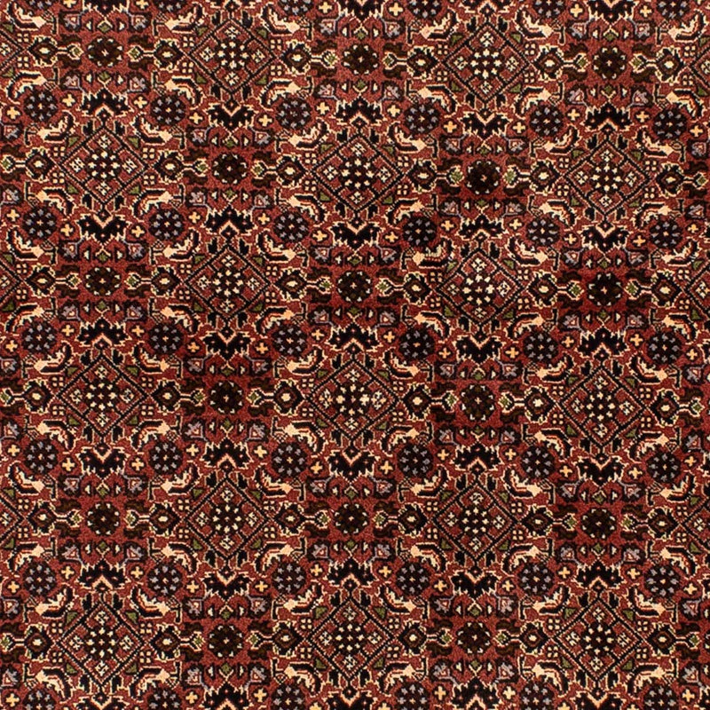 Perserteppich - Bidjar 214 x 136 cm