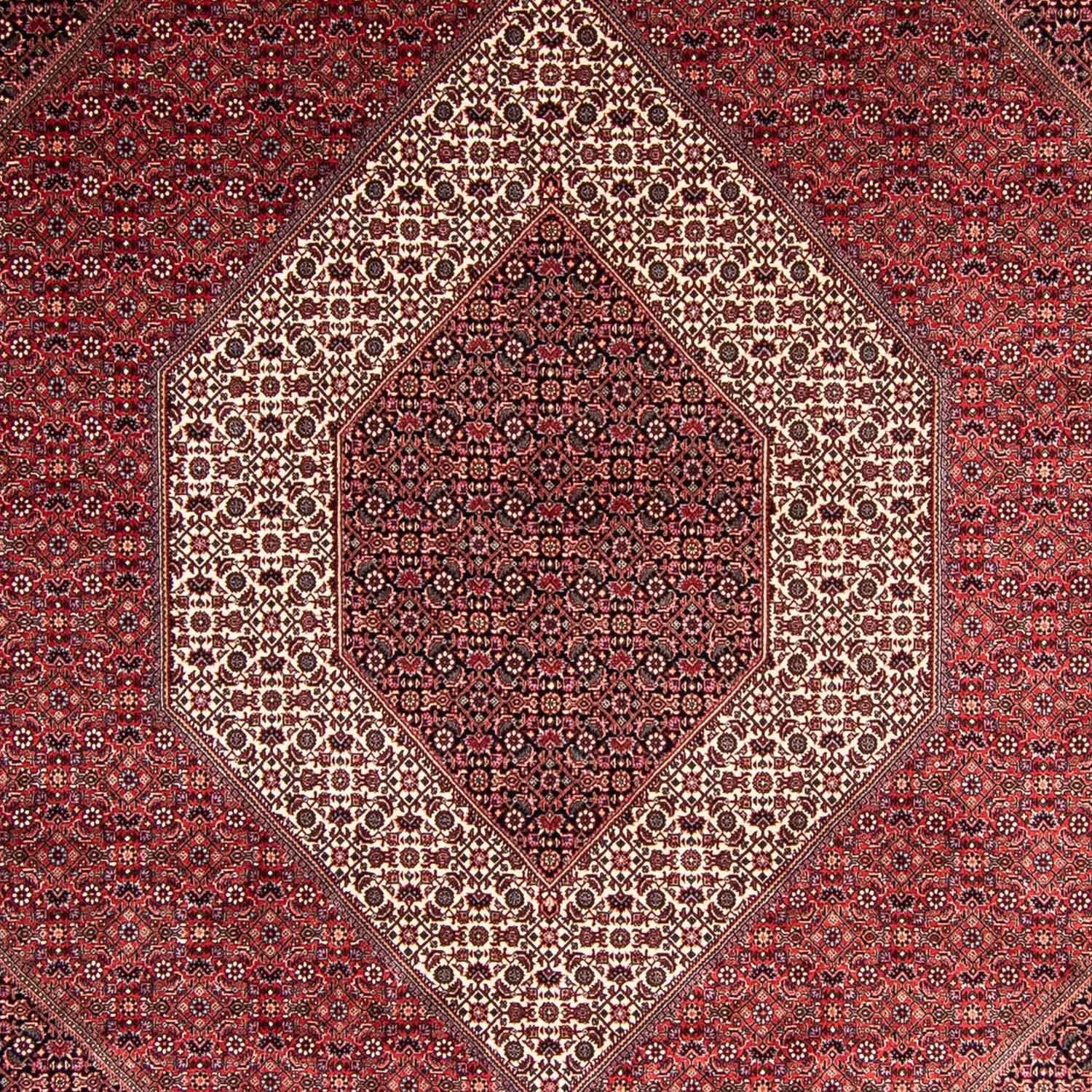Perserteppich - Bidjar 351 x 254 cm