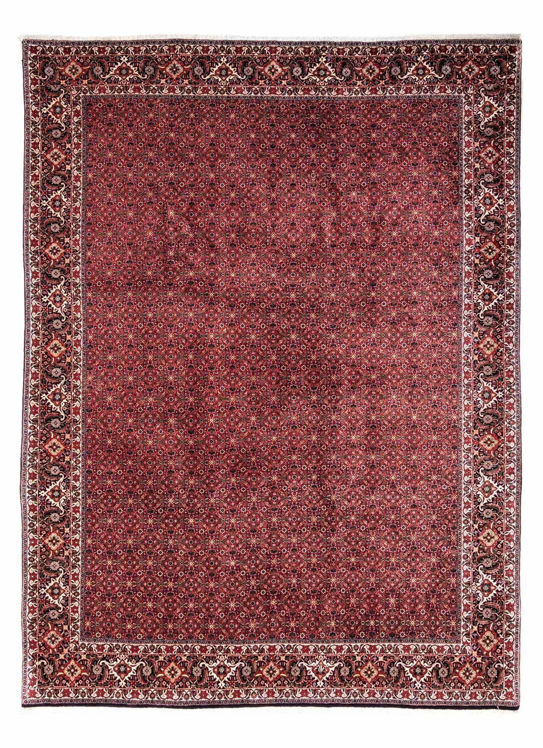 Perserteppich - Bidjar - Royal 338 x 250 cm - rot
