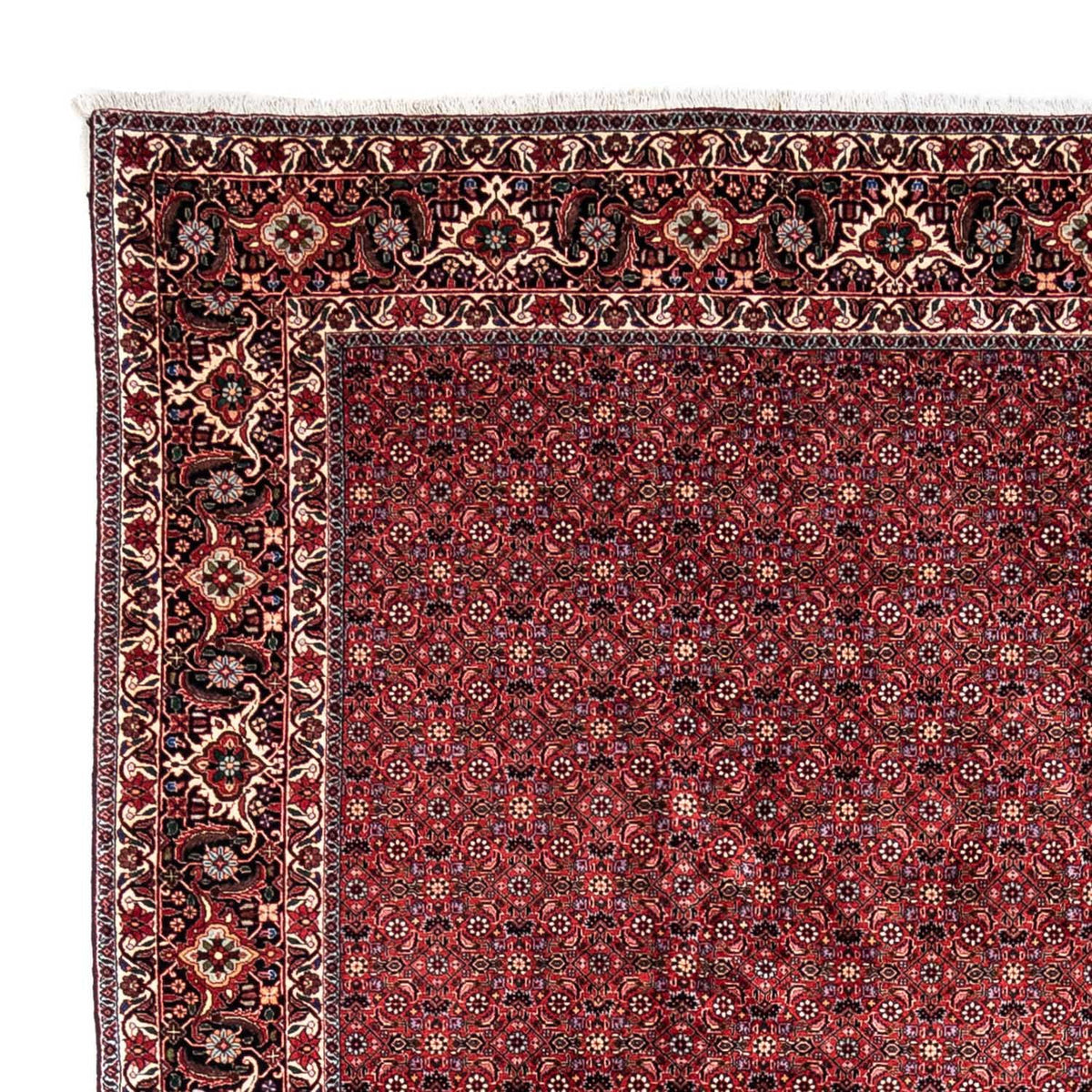 Perserteppich - Bidjar - Royal 338 x 250 cm - rot