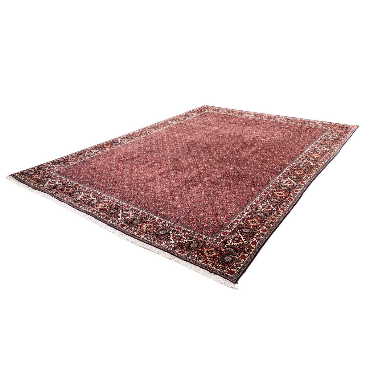 Perserteppich - Bidjar - Royal 338 x 250 cm - rot