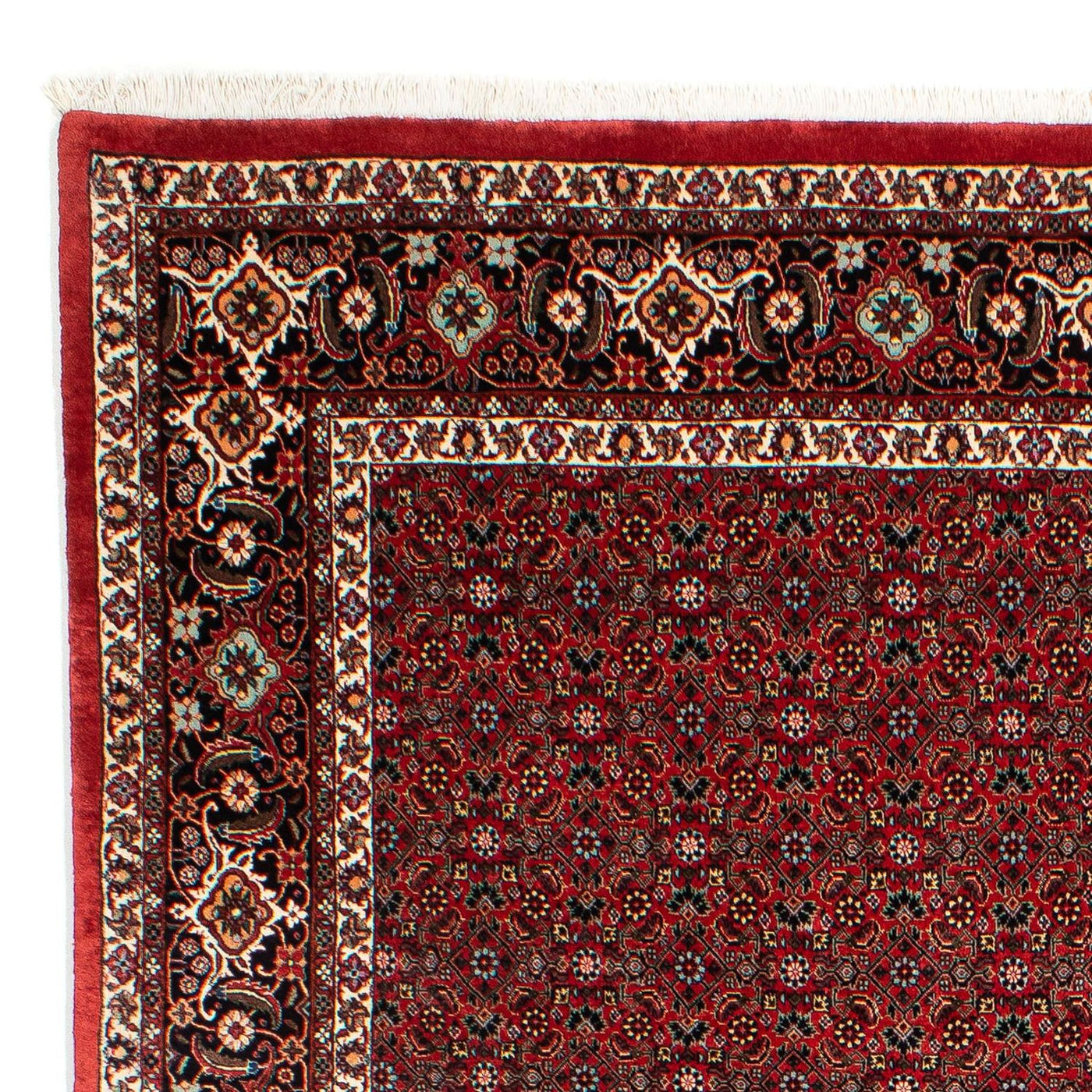 Bidjar Teppich 295x203cm - Perserteppich