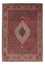Perserteppich - Bidjar 243 x 170 cm
