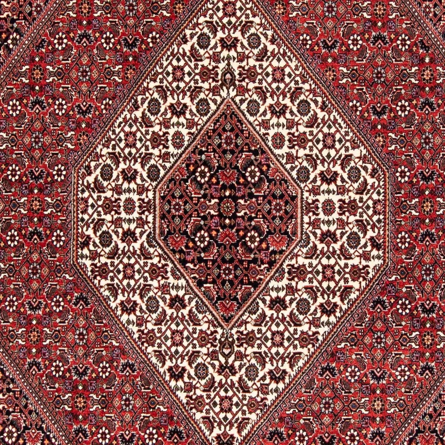 Perserteppich - Bidjar 243 x 170 cm