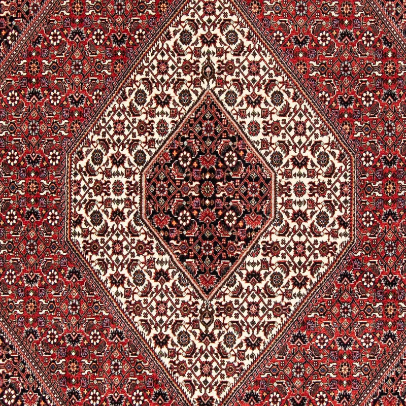 Perserteppich - Bidjar 243 x 170 cm