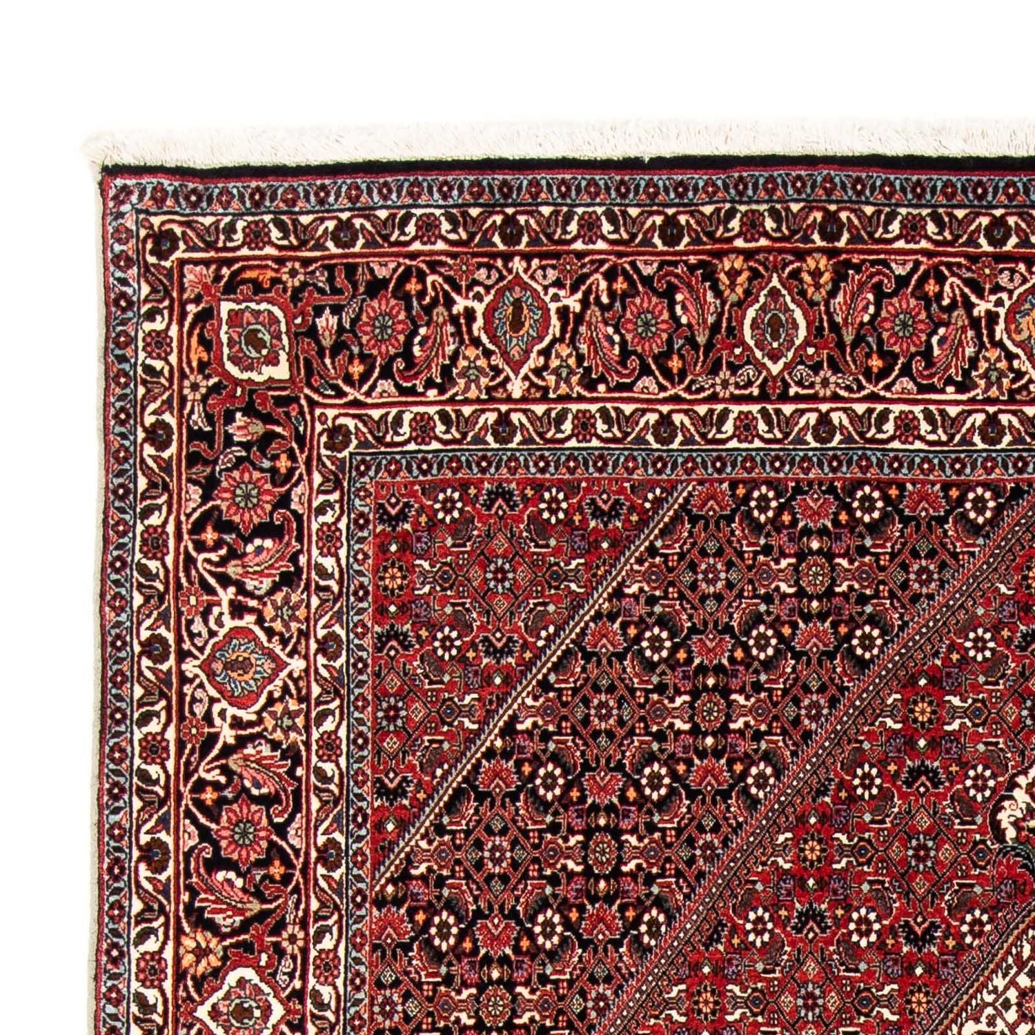 Perserteppich - Bidjar 243 x 170 cm