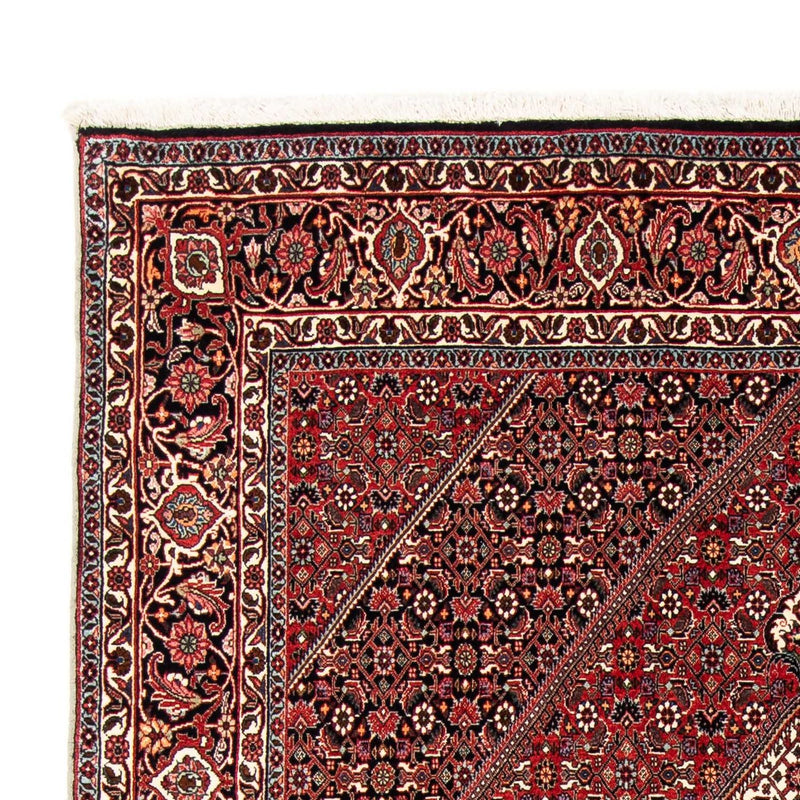 Perserteppich - Bidjar 243 x 170 cm