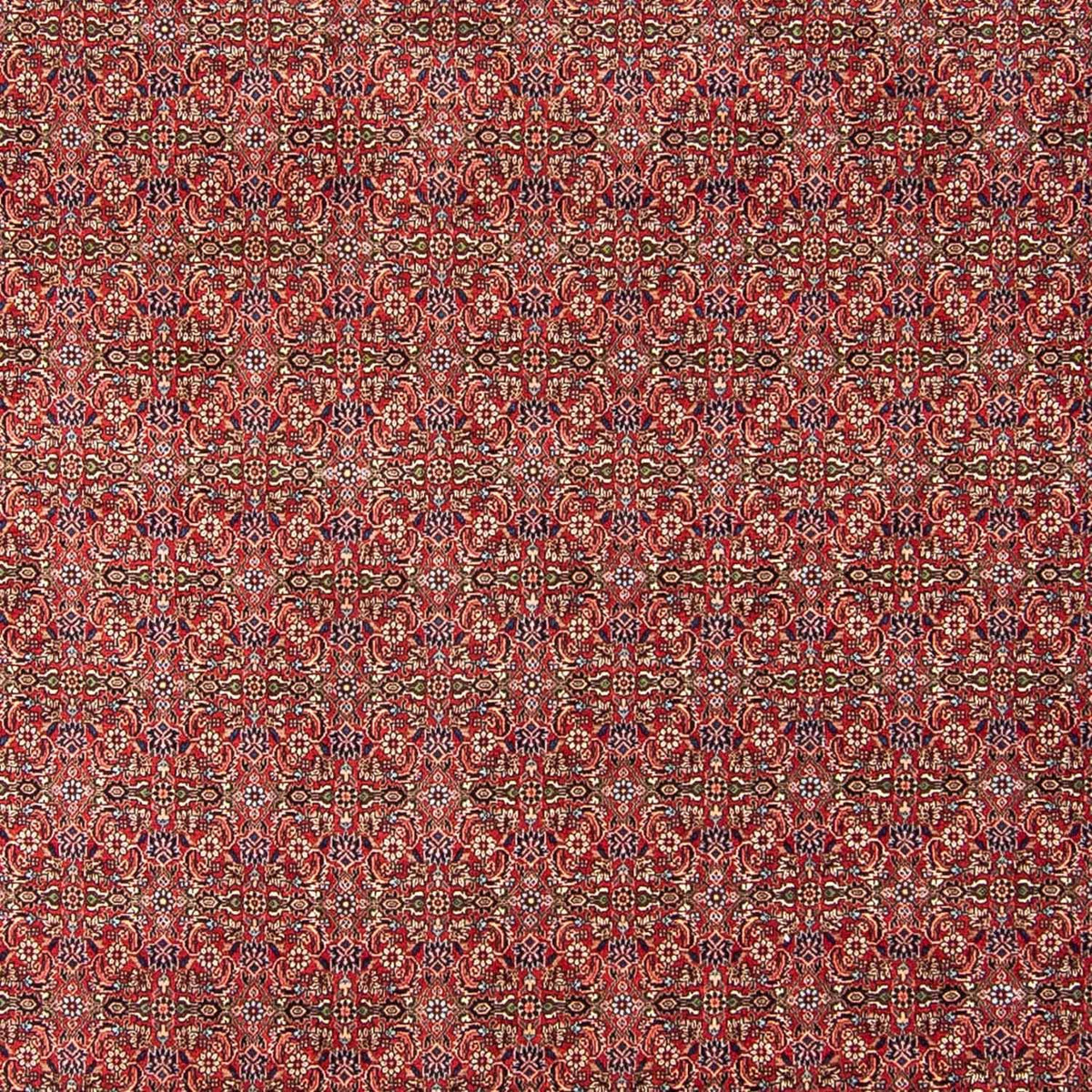 Perserteppich - Bidjar 300 x 252 cm Wohnzimmer Teppich