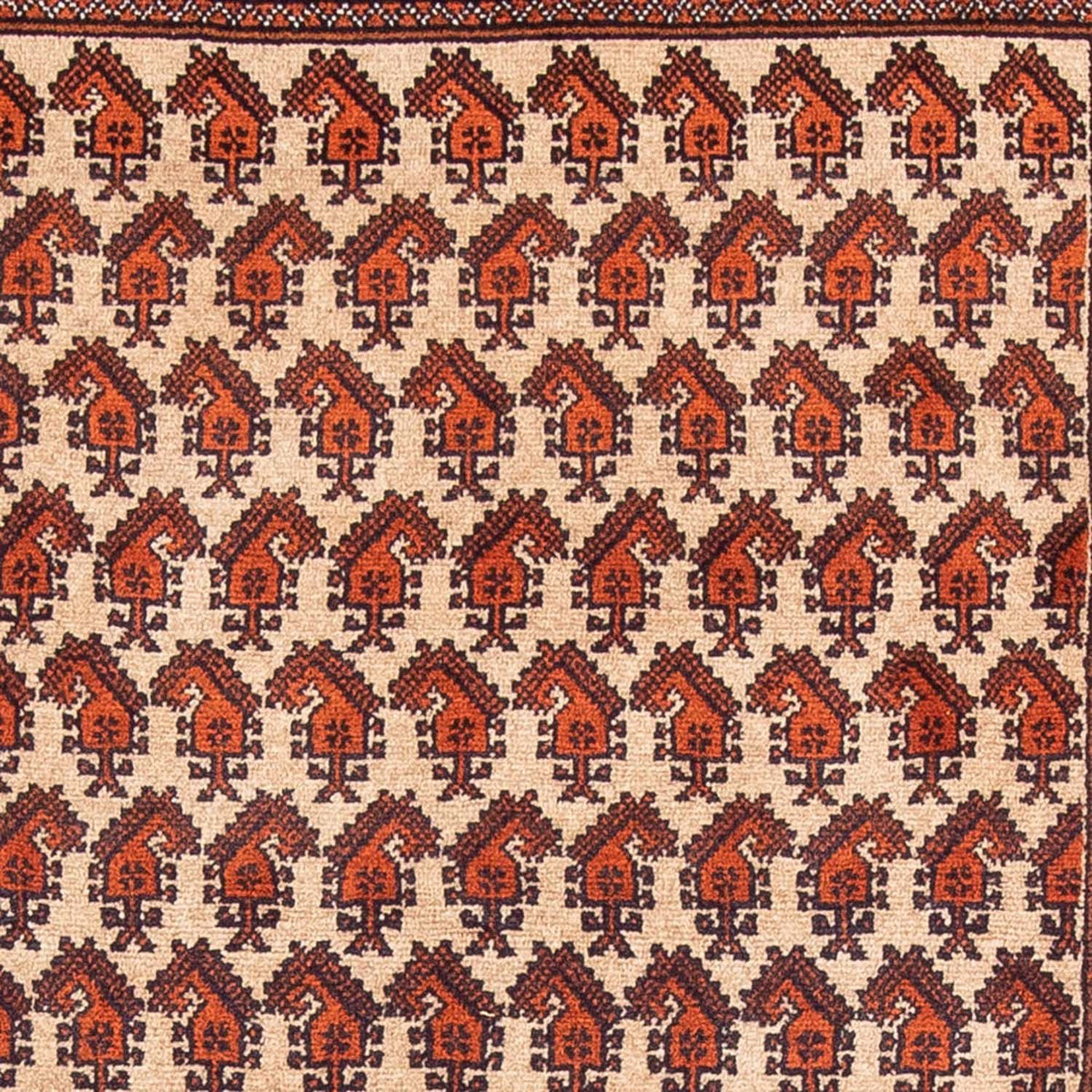 Belutsch Teppich 178 x 100 cm