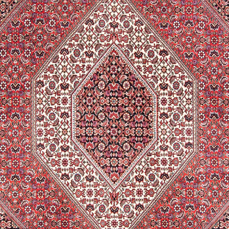 Perserteppich - Bidjar 243 x 171 cm