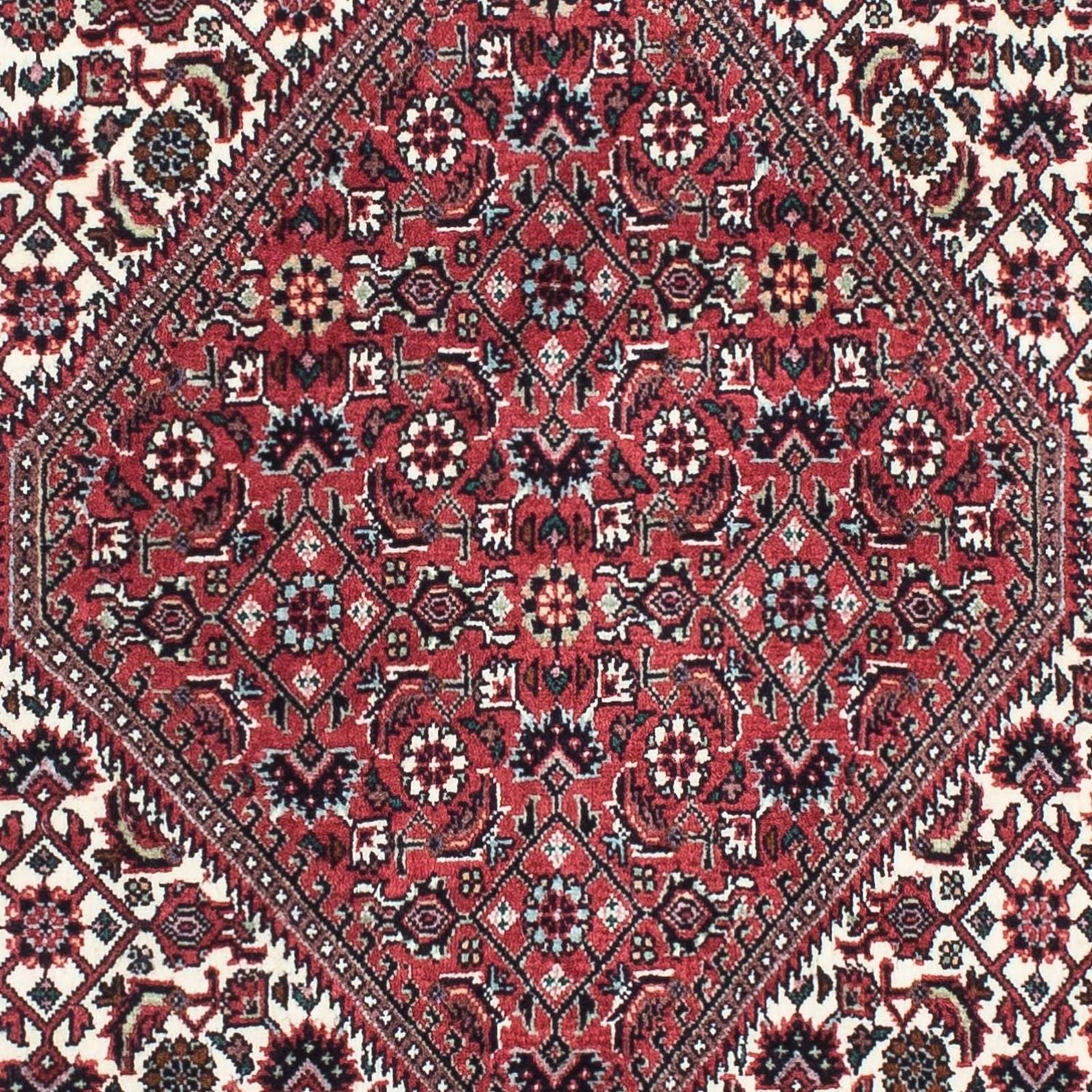 Perserteppich - Bidjar - Royal 208 x 75 cm