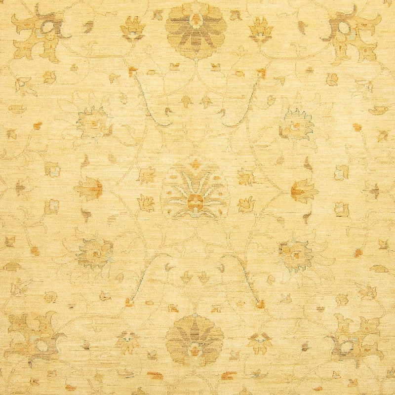 Ziegler Teppich 349 x 274 cm