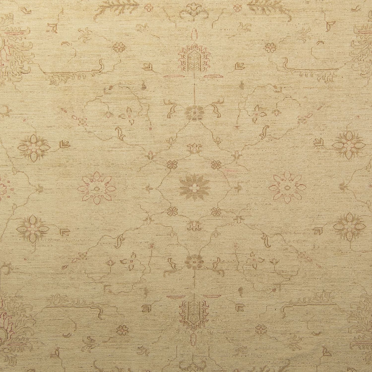 Ziegler Teppich 339 x 245 cm
