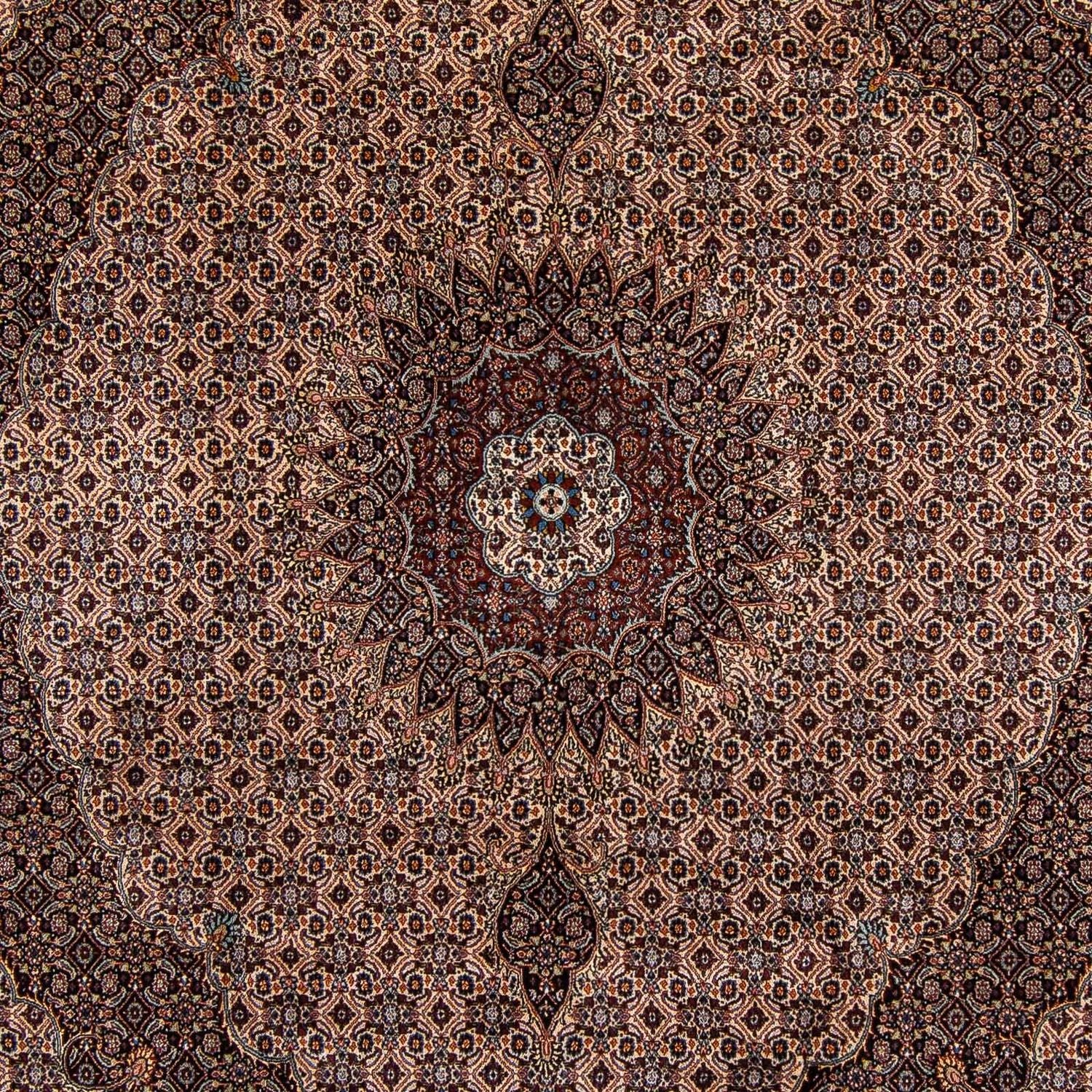 Perserteppich - Classic 305 x 251 cm