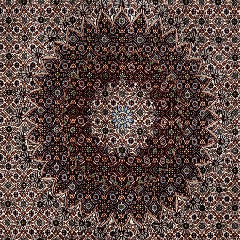 Perserteppich - Classic 350 x 245 cm