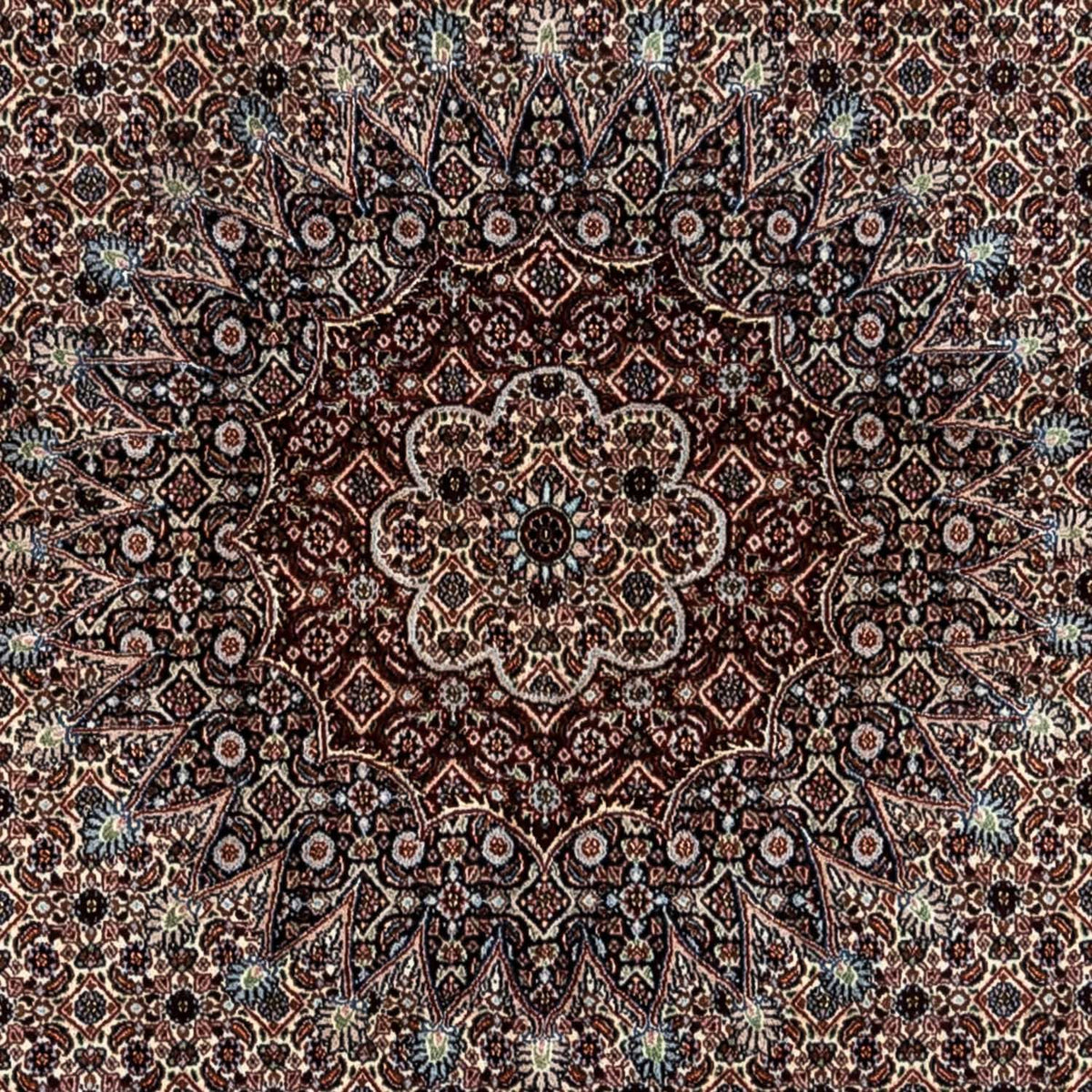 Perserteppich - Classic 344 x 246 cm