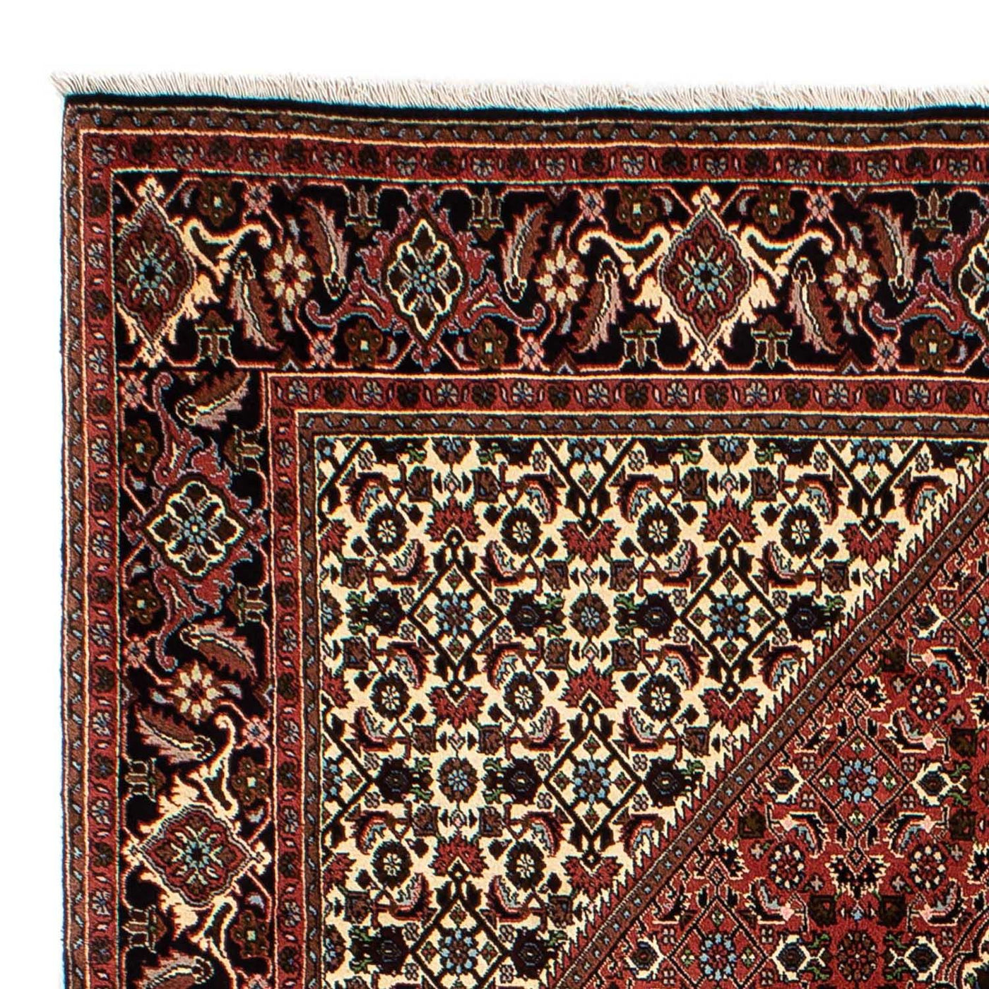 Bidjar Teppich 244x171cm - Perserteppich