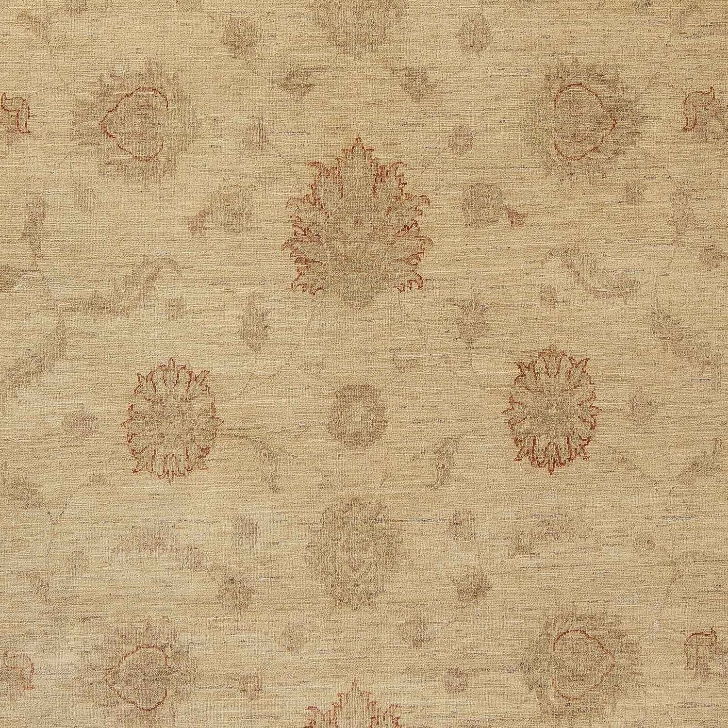 Ziegler Teppich 300 x 239 cm