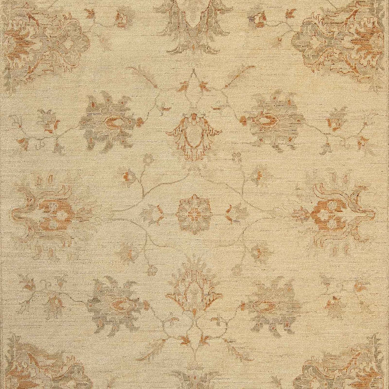 Ziegler Teppich 301 x 244 cm