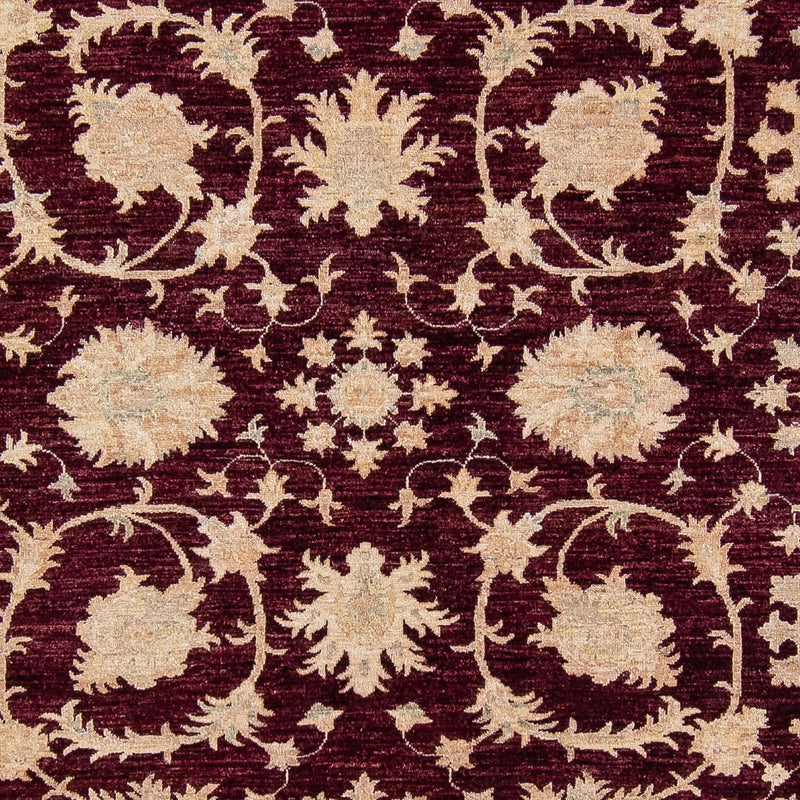 Ziegler Teppich 345 x 249 cm