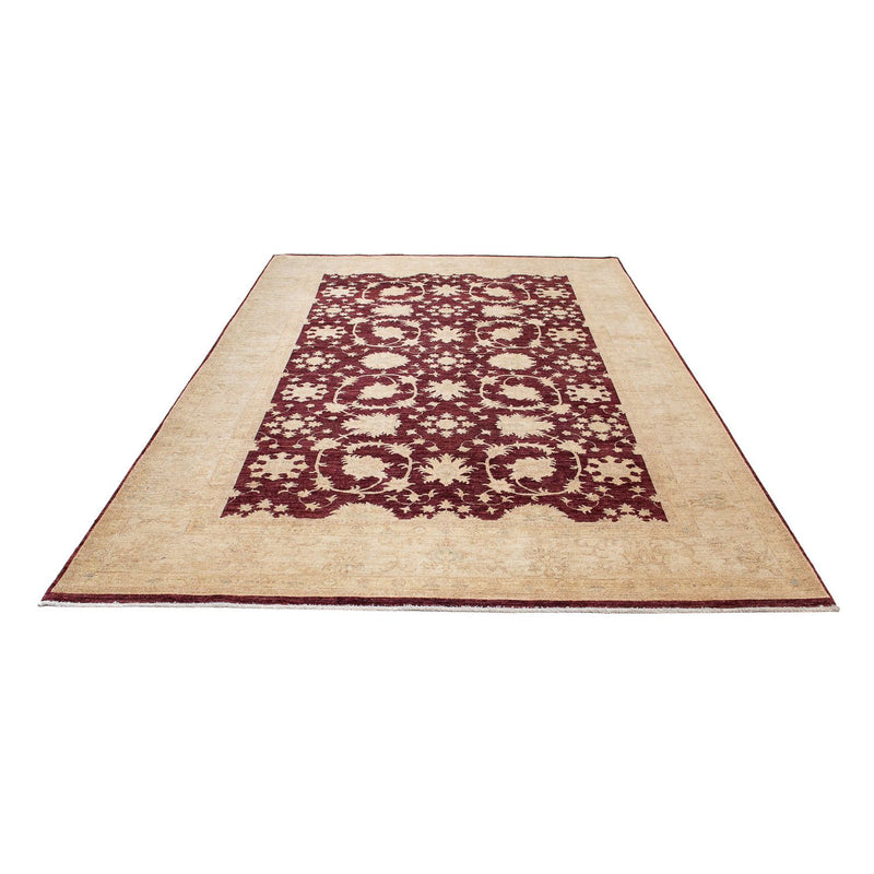 Ziegler Teppich 345 x 249 cm