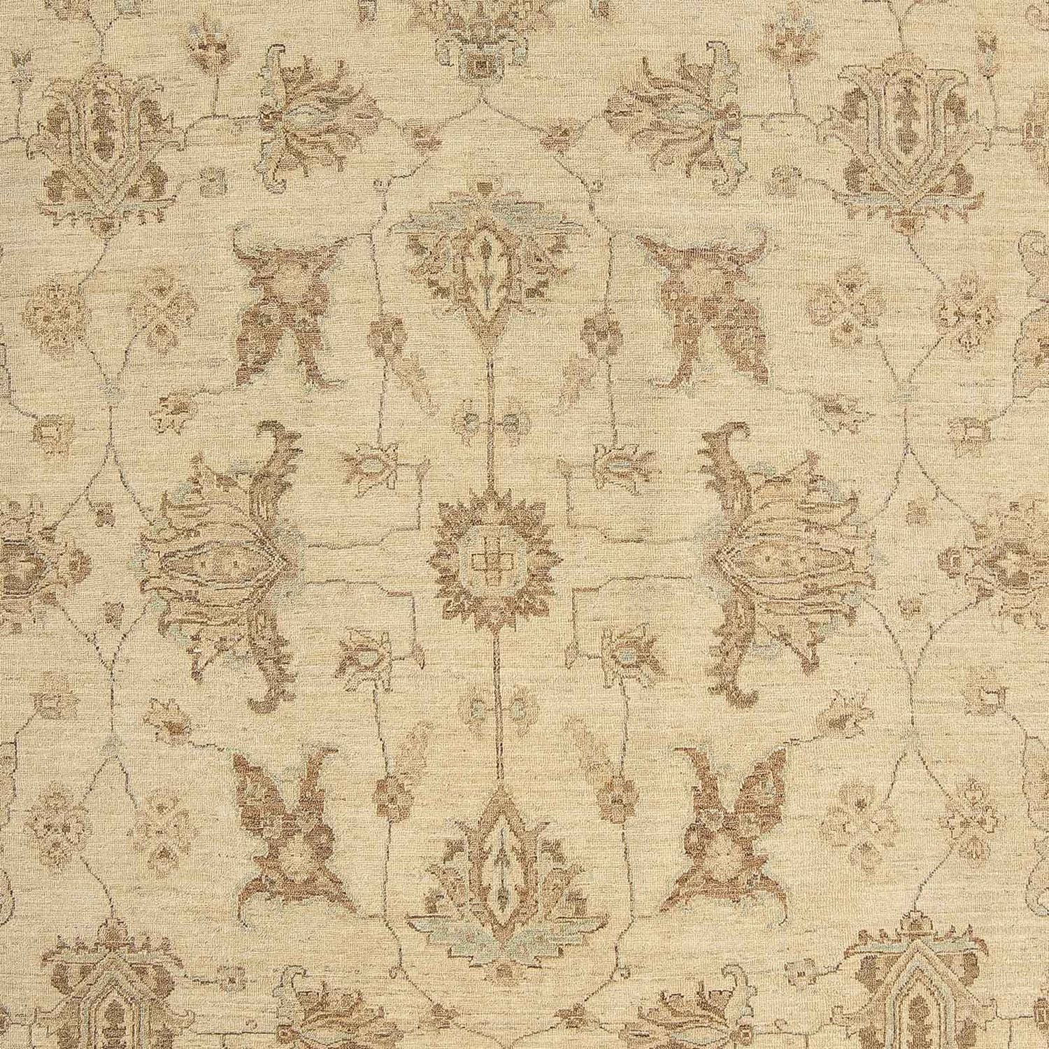 Ziegler Teppich 306 x 248 cm