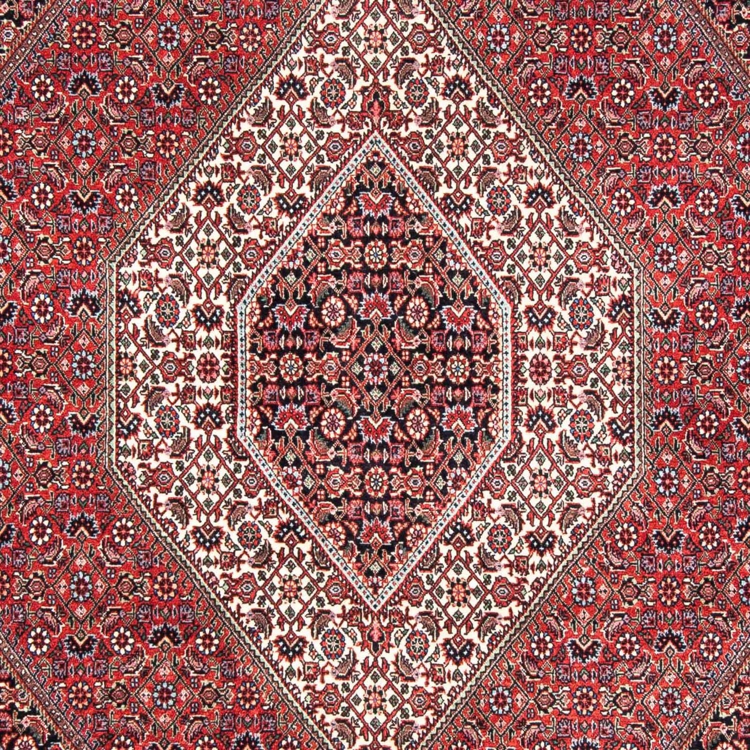Perserteppich - Bidjar 241 x 172 cm