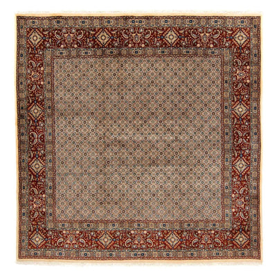 Moud Teppich 248x257cm - Perserteppich