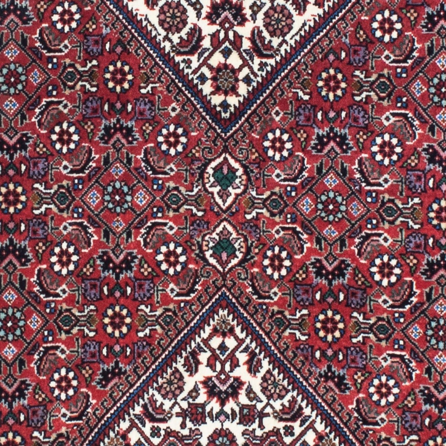 Perserteppich - Bidjar - Royal 208 x 73 cm