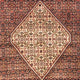 Perserteppich - Bidjar - Royal 208 x 198 cm