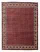 Perserteppich - Bidjar 300 x 253 cm