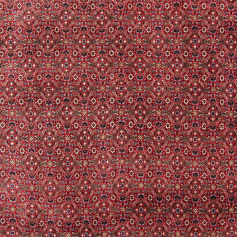 Perserteppich - Bidjar 300 x 253 cm