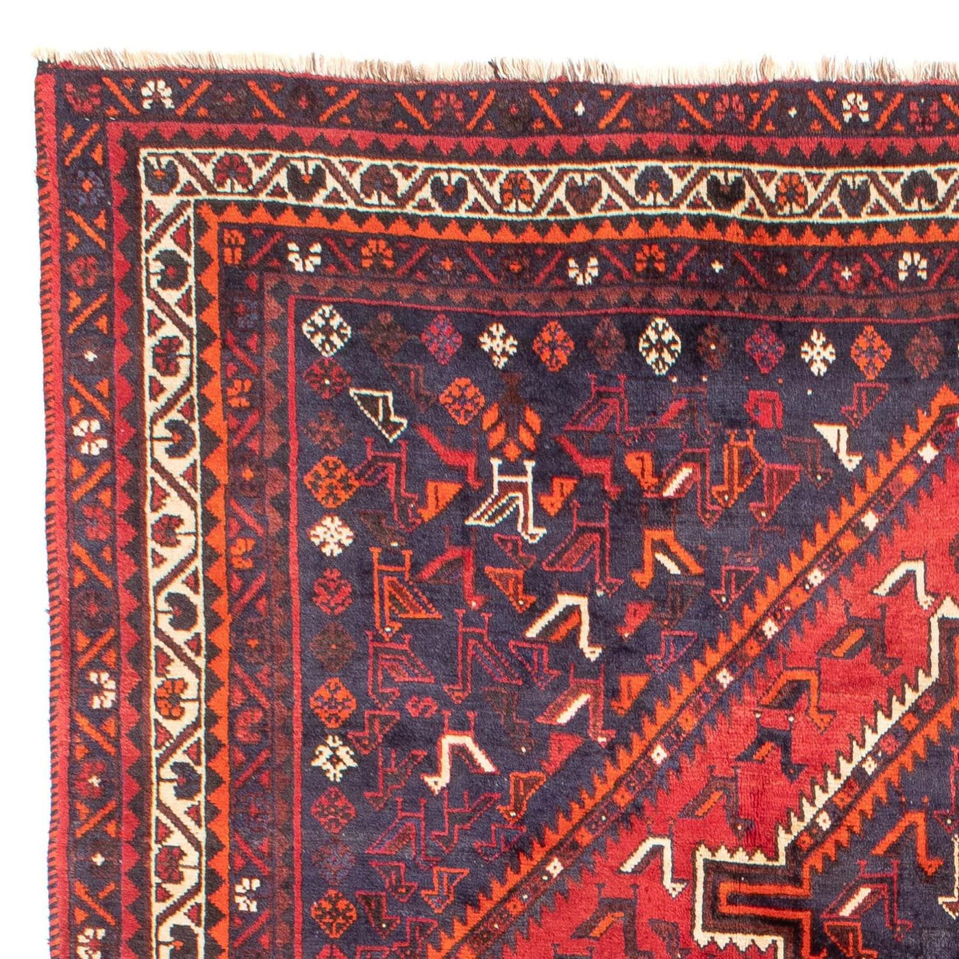 Shiraz Teppich 300x215cm - Perserteppich