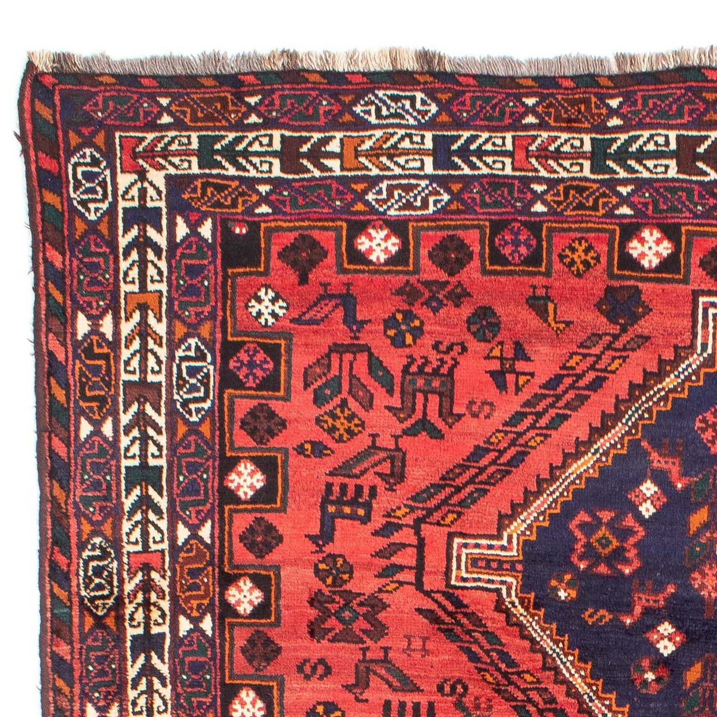 Shiraz Teppich 296x210cm - Perserteppich