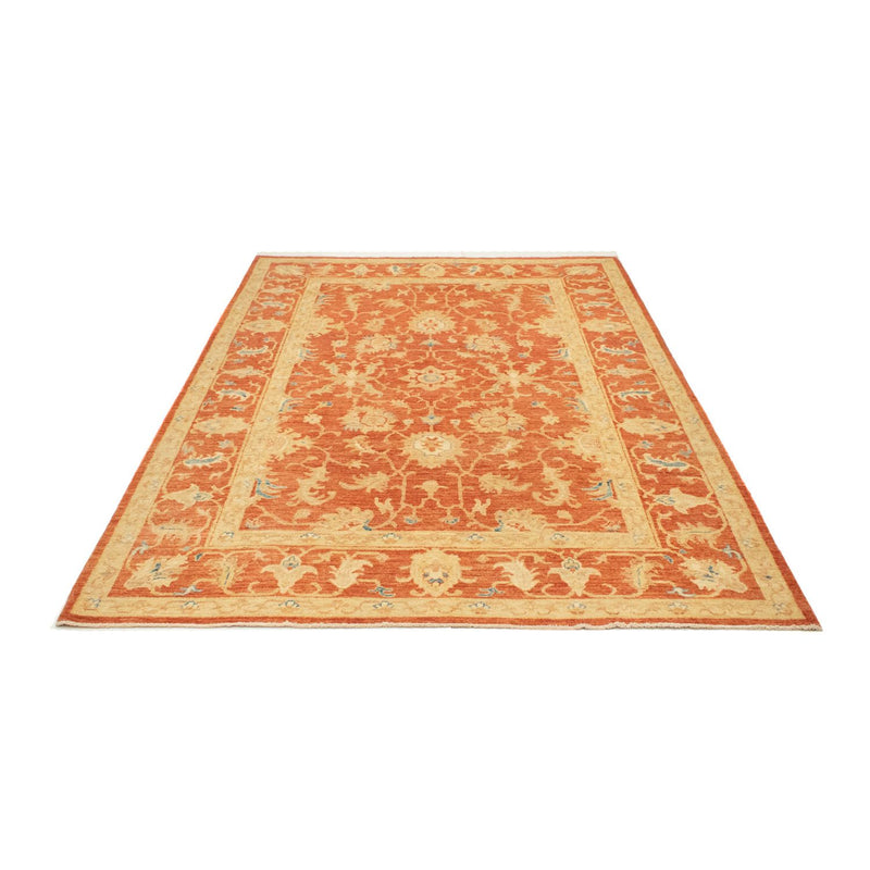 Ziegler Teppich 244 x 172 cm
