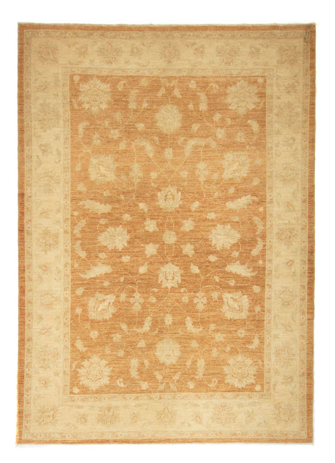 Ziegler Teppich 244 x 179 cm