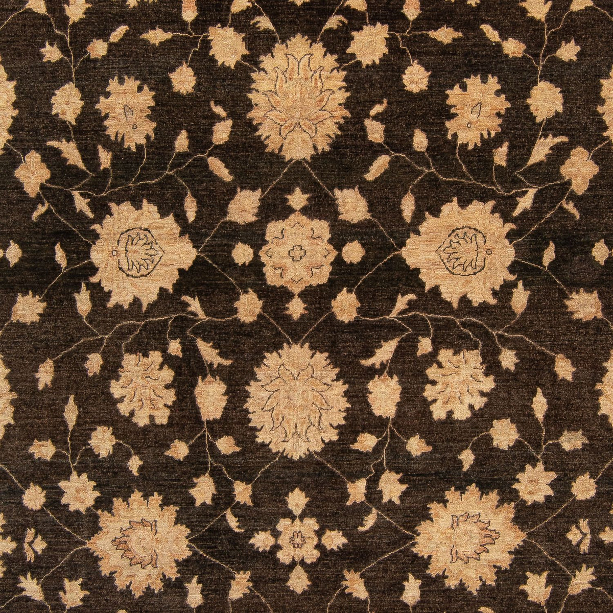 Ziegler Teppich 349 x 248 cm