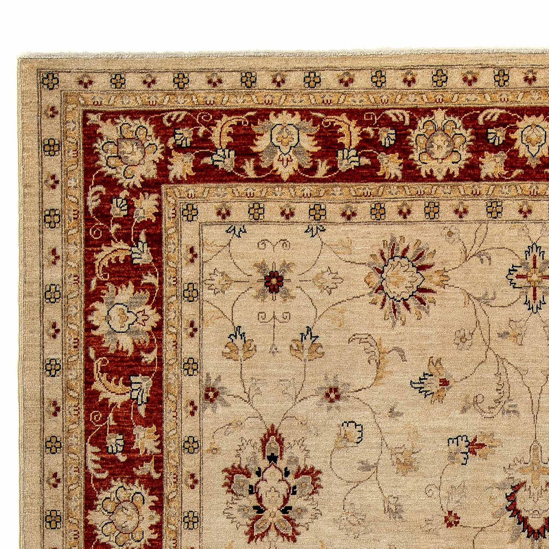 Ziegler Teppich 301 x 249 cm