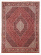 Bidjar Teppich 310x250cm - Perserteppich