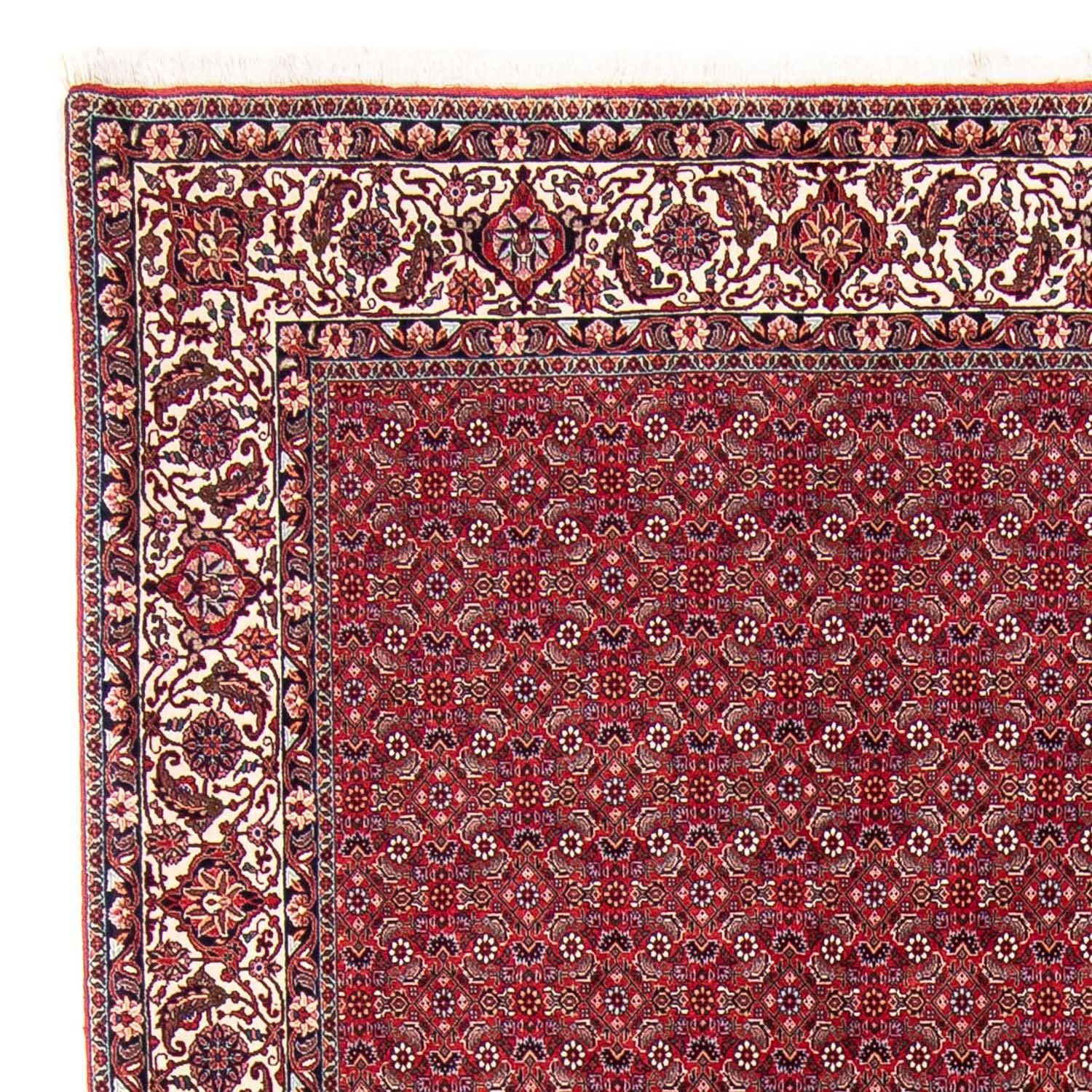 Perserteppich - Bidjar 297 x 247 cm Wohnzimmer Teppich