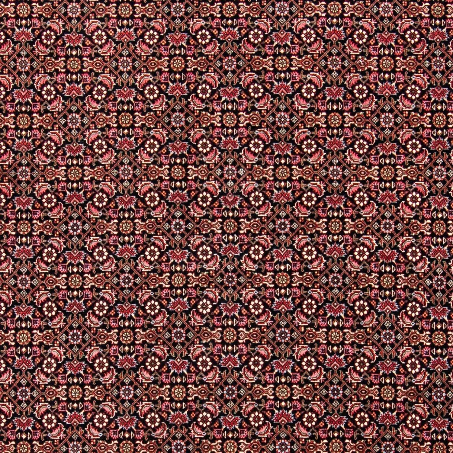 Perserteppich - Bidjar 245 x 176 cm