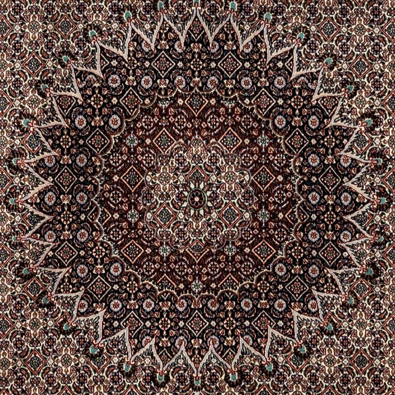 Perserteppich - Classic 345 x 253 cm